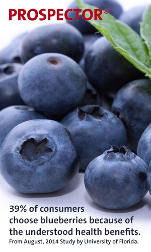 BlueberrySM