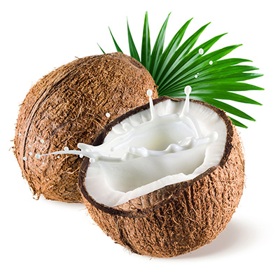 coconut_SM