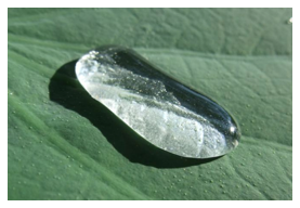 Superhydrophobic coatings: Lotus leaf effect