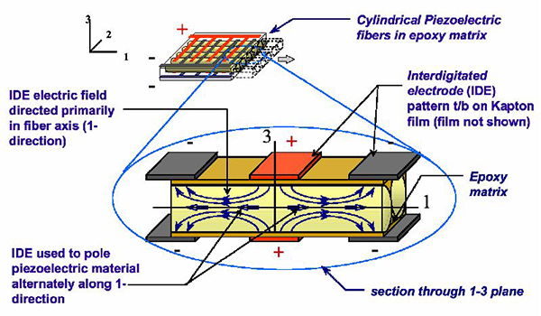 Fig 4. Schematic of the cross section of an AFC actuator