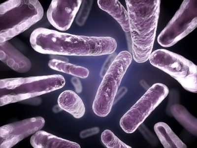 goodbacteria02