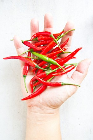 spicy02