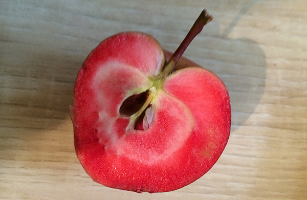 RedfleshedApple600