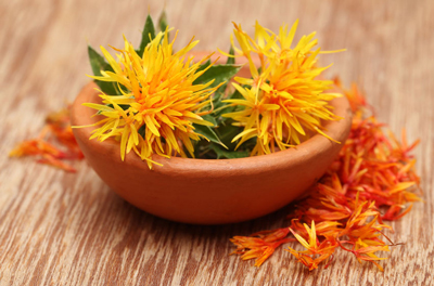 Safflower02