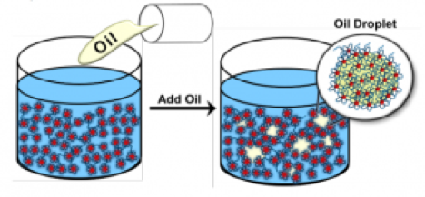 Emulsification Mechanism of Polyurethane-62 - learn more about Avalure Flex-6 Polymer in the Prospector Knowledge Center. Sponsored by Lubrizol.