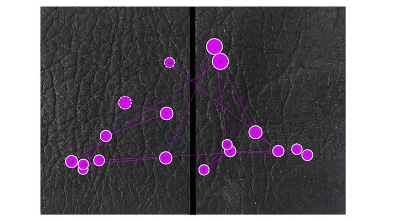 Neuromarketing applies neuroscience principles to product marketing. Find out how to use eye-tracking and heat maps to the product development stage.