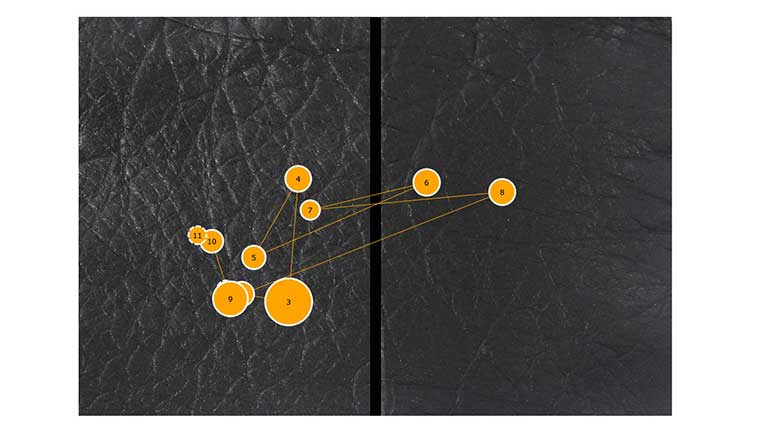 Eyetracking results - Neuromarketing applies neuroscience principles to product marketing. Find out how to use eye-tracking and heat maps to the product development stage. 