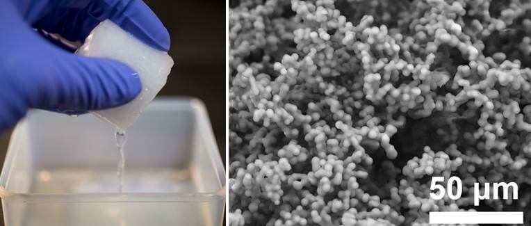 Marshmallow gel for medical use: macroscopic and microscopic image. Learn more about medical silicones in the Prospector Knowledge Center.