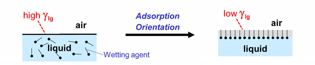 diagram of surfactant structure - Structure and Behavior of Wetting Agents