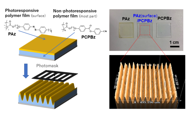 graphical abstract - Learn more about Light-responsive nanolayer surface of plastic film induces movement