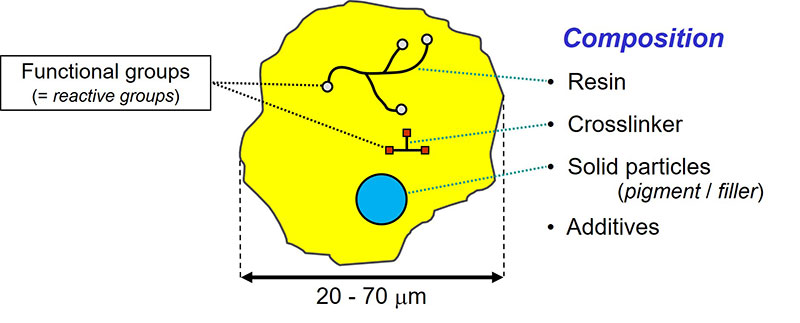Powder paint particle