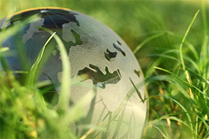 Model earth in the grass
