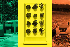 Multicolored photo collage