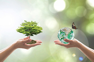 Hands holding out a tree and a ball of water