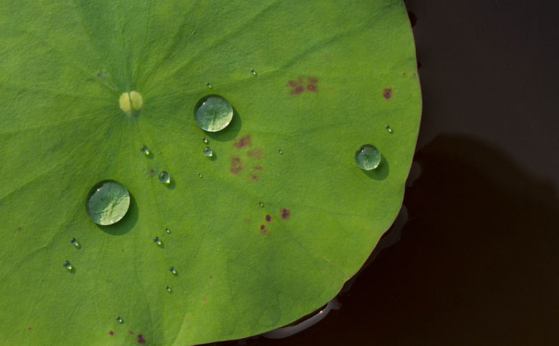 Learn about the chemistry and benefits of hydrophobic and superhydrophobic coatings in the Prospector Knowledge Center.