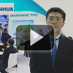 Wanhau Chinaplas 2016