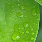 Air Liquide announces the acquisition of Serdex