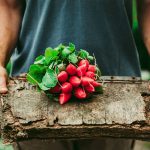 Are organic and non-GMO foods healthier? Get a dietitian's take in the Prospector Knowledge Center.