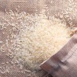 photo of a spilled bag of rice - learn more about rice protein