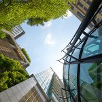 Buildings and trees