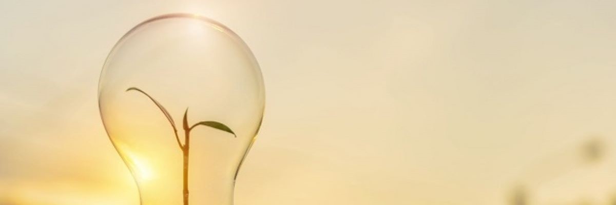 Lightbulb with sprout instead of filament