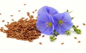 Flax seed is an excellent source of omega-3 ALA's.
