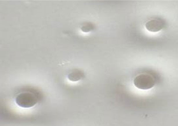 Foam
