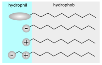 Viscosity4