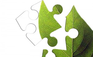 The Puzzle of Natural Cosmetics