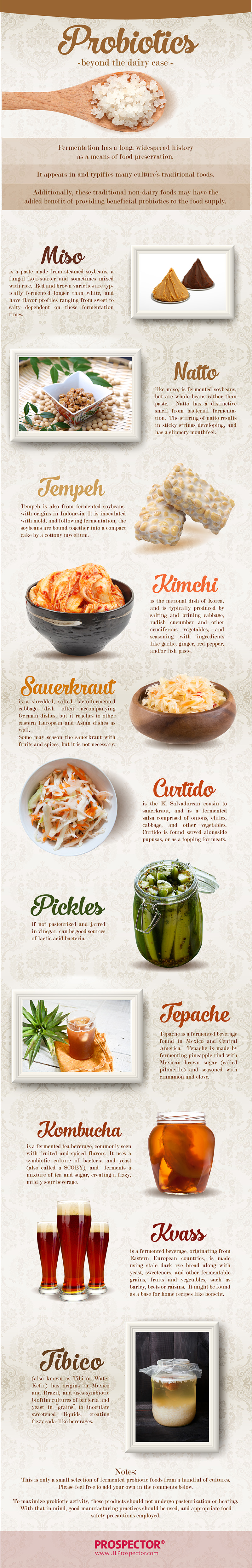 Probiotics-Fermented-Infographic