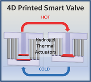 The Woollongong valve.