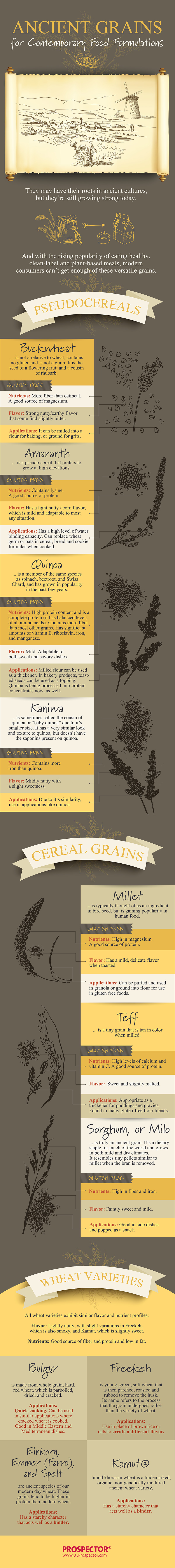 Ancient-Grains-Infographic-800