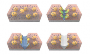 Mechanism of self-healing coatings using a capsule-based approach. Credit: Adv. Mater. 2009, 21,645.