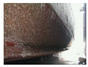 Hull fouling.