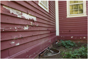 Figure 1. www.catchlightpainting.com 