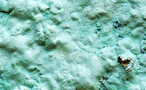 Bleeding, blistering and metamerism - what causes these paint and coating failures? Find out in this article by expert Marc Hirsch in the Prospector Knowledge Center.