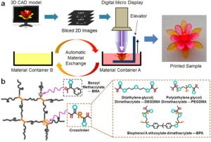 Figure of the process of fabricating a multi-material structure based on a photo-curable shape memory polymer network. Learn about 4D printing in the Prospector Knowledge Center.