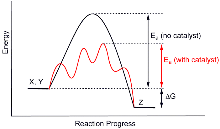 Catalysis reaction process - learn more catalysis in the coatings industry in the Prospector Knowledge Center.