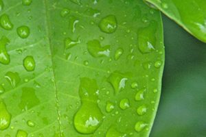 Air Liquide announces the acquisition of Serdex