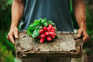 Organic and non-GMO foods are often mentioned when discussing a healthy diet. Learn what the terms mean, and a dietitian's take on the trend.
