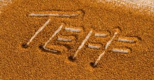 Teff is an ancient grain with great nutritional value but comes with some food formulation challenges. Learn more in the Prospector Knowledge Center.