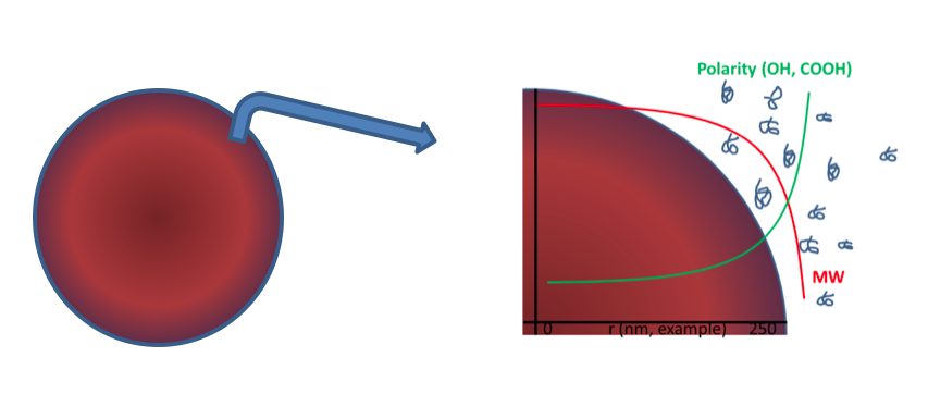 Alkyd molecule diagram - learn about stabilizations of soft matter emulsions in the Prospector Knowledge Center.