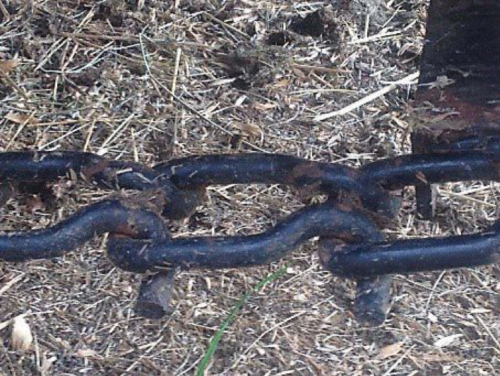 New chain for manure spreader