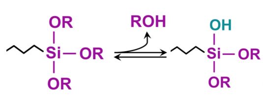 Hydrolysis of a single alkoxy group to form a silanol group - learn about organosilane components in coatings formulations in the UL Prospector Knowledge Center.