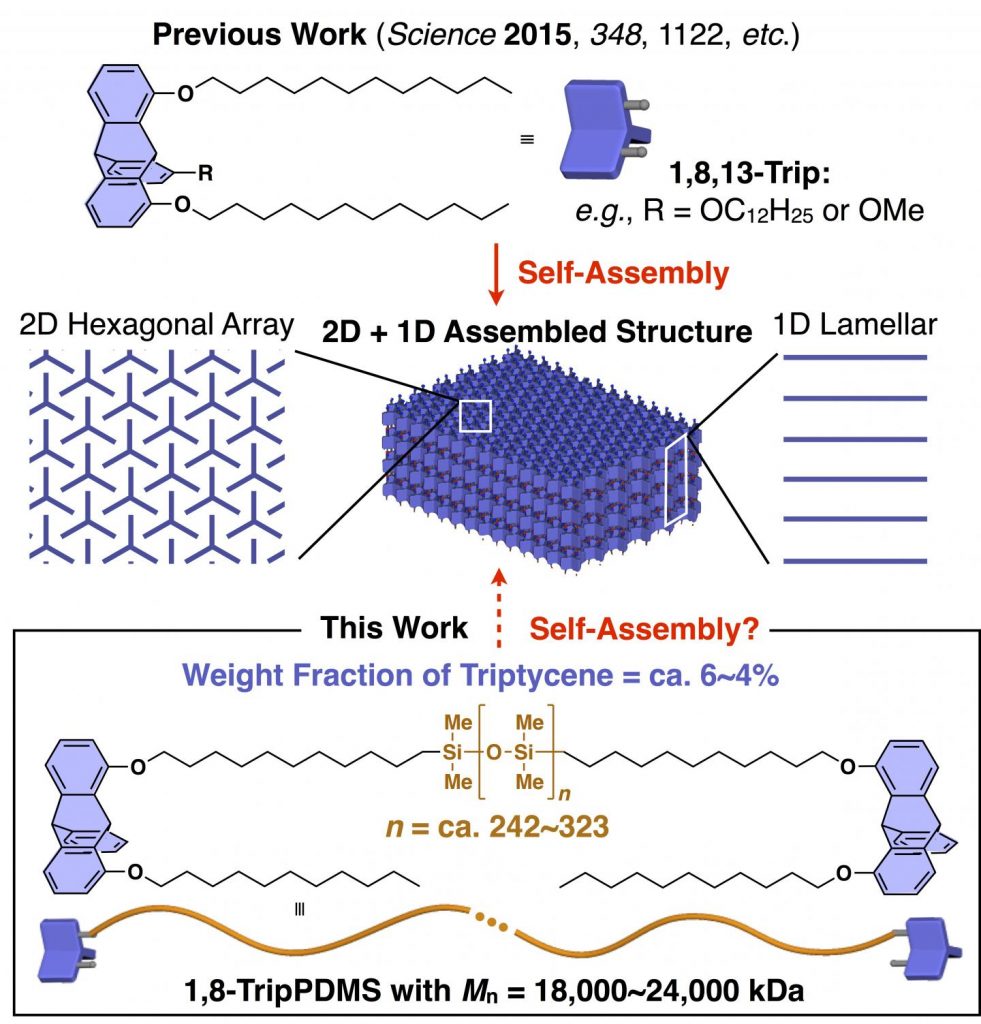 Schematic of 1,8,13-Trip, a triptycene molecule that can self-assemble into 2D hexagonal arrays. Learn more about medical silicones in the Prospector Knowledge Center.