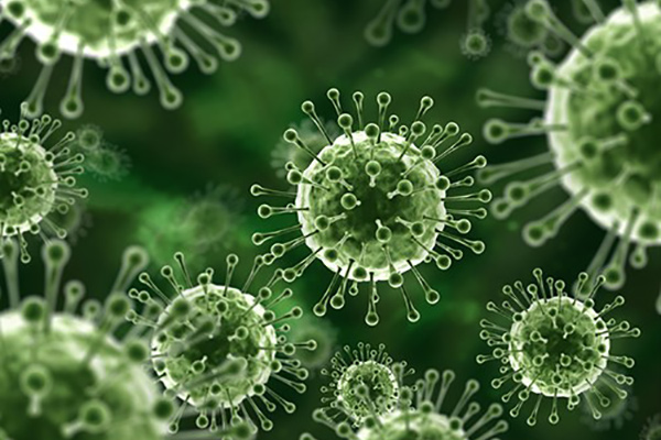 microbial under a microscope - Remain Bug Free with Antimicrobial Coatings