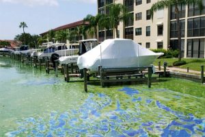 Working in conjunction with engineering firm AECOM on a remediation project, Algix used its Algix Bloom mobile harvesters in this marina in Cape Coral, Florida, which was plagued with a harmful, dense algae bloom that needed emergency relief. These “before” and “after” images were taken one day apart.