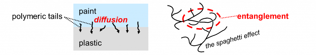 Diffusion and entanglement - learn about achieving superior coating adhesion