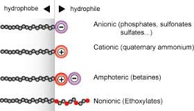 Representation of surfactants - Learn more about classifying surfactants