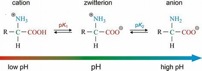 zwitterion surfactants - Learn more about classifying surfactants